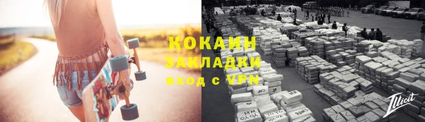 стаф Зерноград