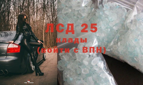 стаф Зерноград