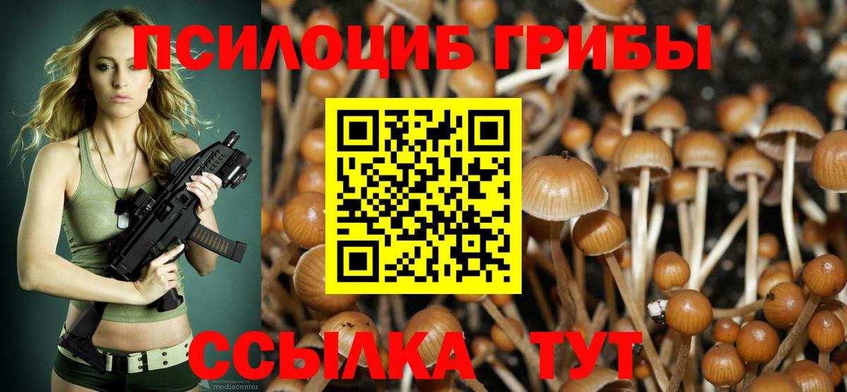 Россия  Галлюциногенные грибы Magic Shrooms  купить наркоту  Вход с VPN  Галлюциногенные грибы мухоморы 