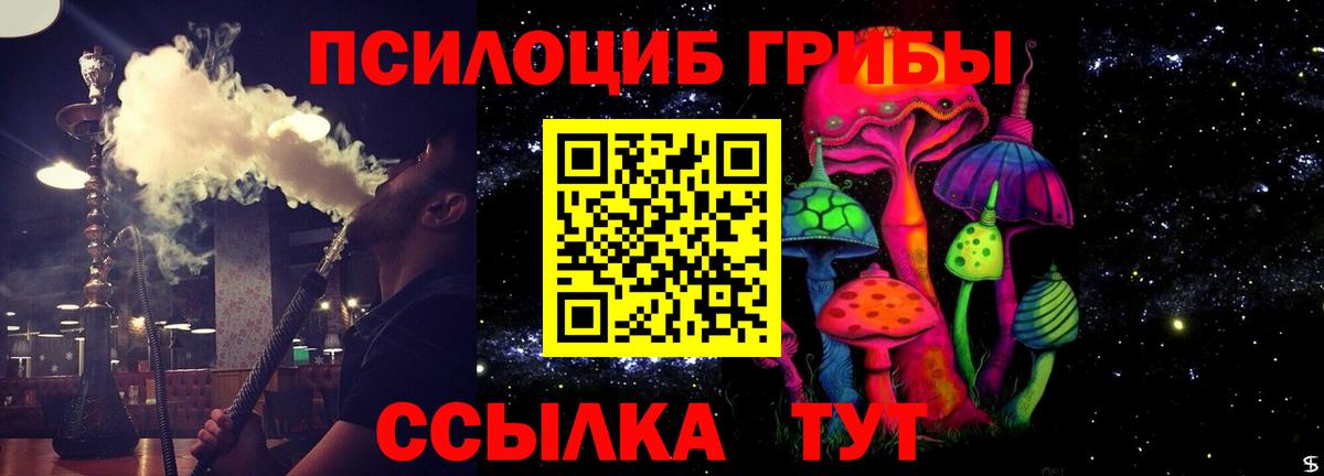 Галлюциногенные грибы Psilocybine cubensis Россия