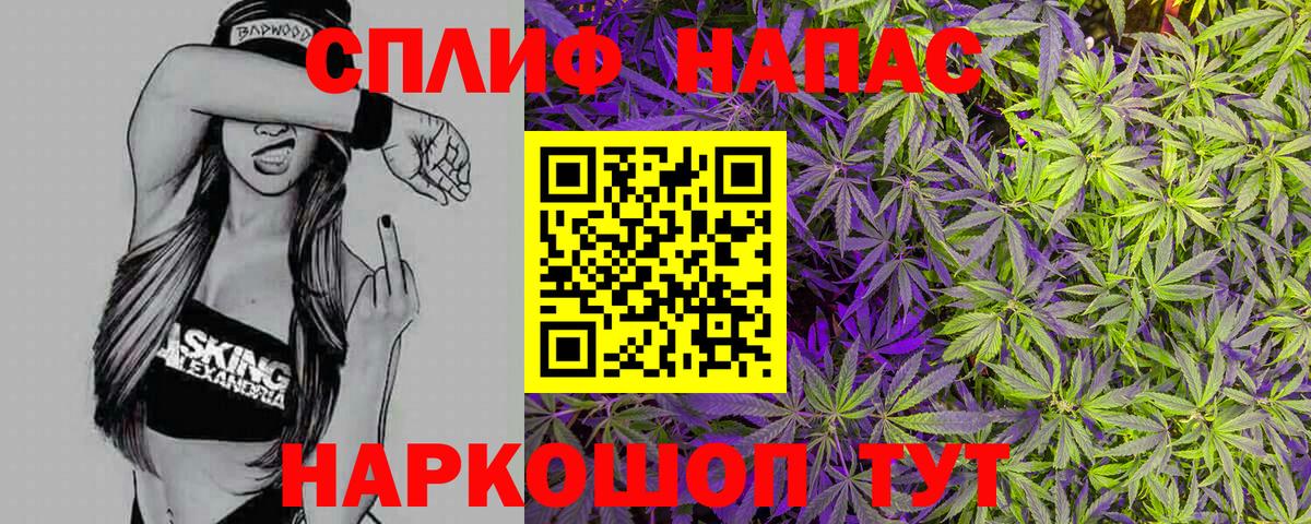 Шишки марихуана план Россия